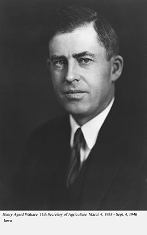 Henry Wallace Starts Term