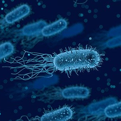 Timeline: La historia de la Microbología - Arón García 502°