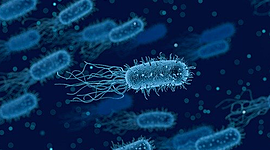 Timeline: La historia de la Microbología - Arón García 502°