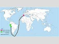 Francisco Pizarro: sponsored by spain