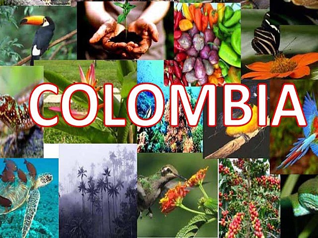 ColomBIOdiversidad