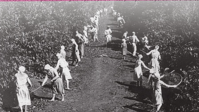 Imigrantes no segundo reinado - As famílias iam para as fazendas de Paulistas combinando com seus senhores que eles pagariam toda a viagem e itens para uso domestico em troca da mão de obra. Mas ocorreu o contrário, quando chegavam no Brasil os