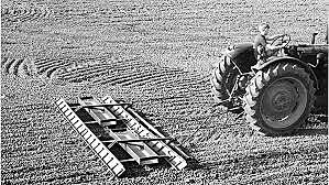 Growth in Agriculture