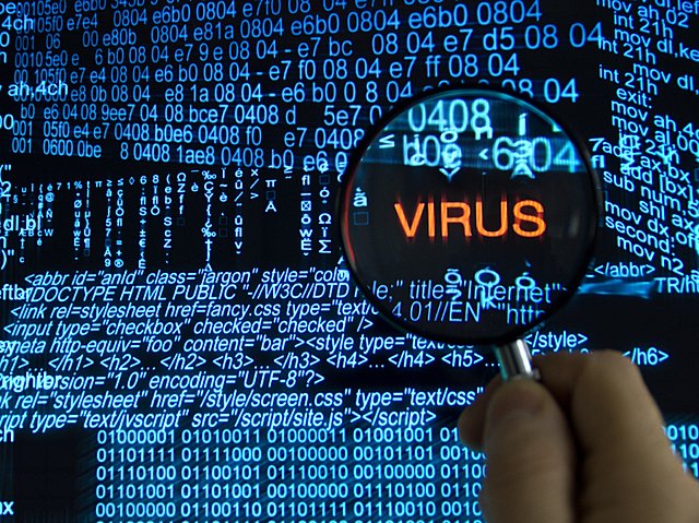 The first computer viruses distributed through the Internet appear.