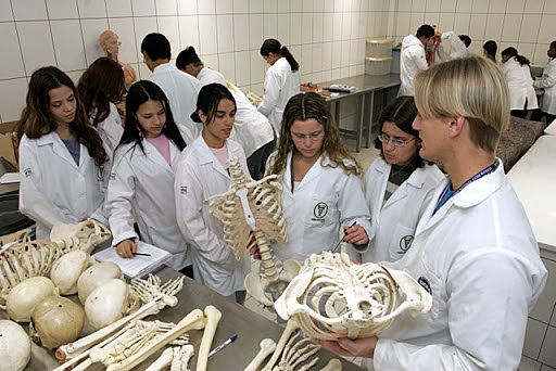 Curso Superior de Fisioterapia no Brasil