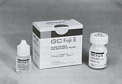 Primer nombramiento y descripcion del GIC