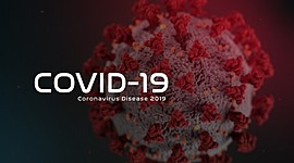 Timeline: Pandemia COVID 19