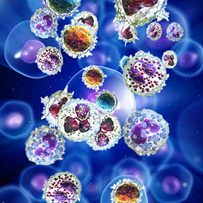 Timeline: Historia de la inmunología Veterinaria