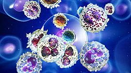 Timeline: Historia de la inmunología Veterinaria