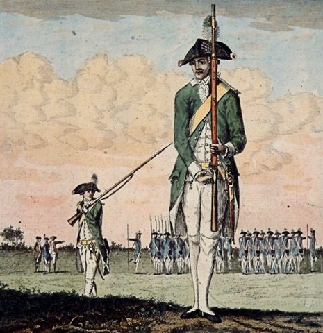 machtsgreep van patriotten