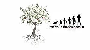 Siglo XX (200) Etapas de Desarrollo Biopsicosicail.