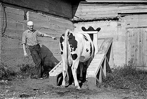 The Agricultural Act of 1949