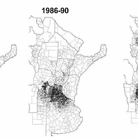 LA SOJA SE UBICA ENTRE LOS PRINCIPALES CULTIVOS DE ARGENTINA