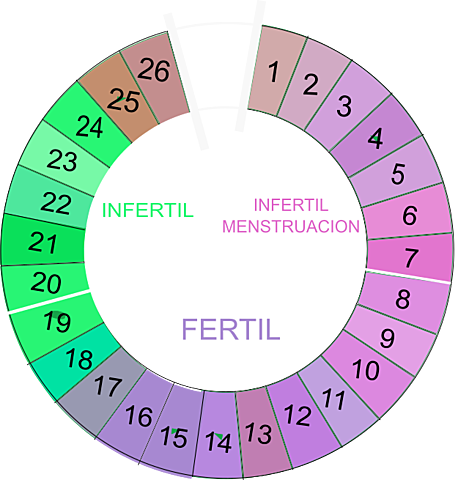 Metodo del calendario