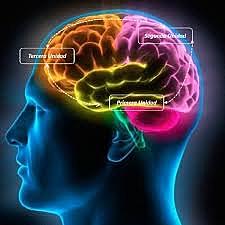 ALEXANDER ROMANOVICH LURIA (1902 - 1977)