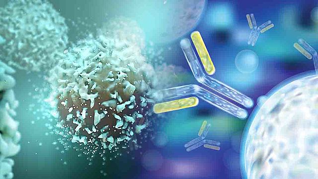 RESPUETA INMUNE FRENTE A VIRUS