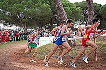 cross country