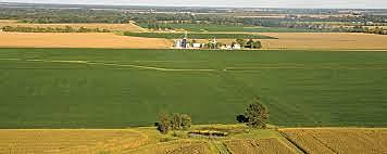 Science: The Competitive Edge