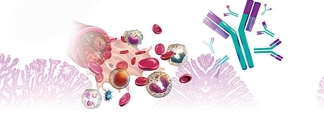 INMUNIDAD INNATA / INMUNIDAD ADAPTATIVA