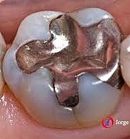 Dr. William Youdelis