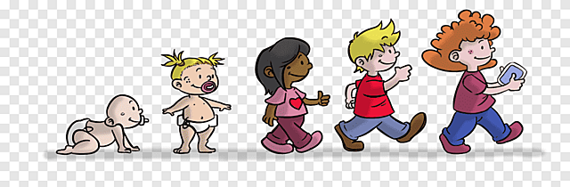 ETAPAS DEL DESARROLLO