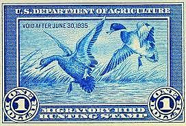 The Migratory Hunting Stamp Act