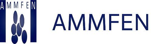 Conformación del AMFEN