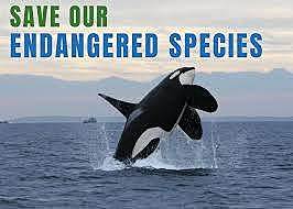 The Endangered Species Act