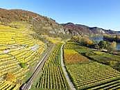 Sustainable Agriculture