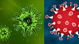 Timeline: Coronavirus