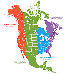 Establishing a Program