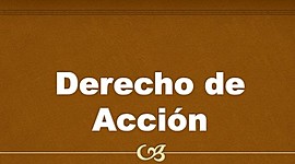 Timeline: LÍNEA DE TIEMPO SOBRE LA EVOLUCIÓN DE ACCIÓN PROCESAL.