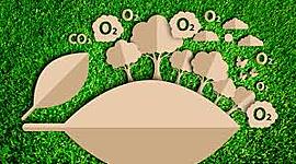 Timeline: NORMATIVIDAD NACIONAL E INTERNACIONAL SOBRE GESTIÓN AMBIENTAL