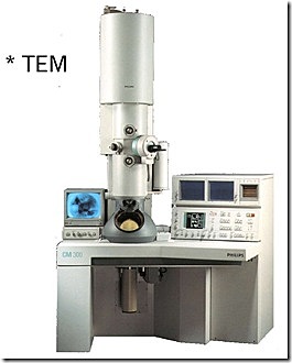 Max Knoll y Ernst Ruska