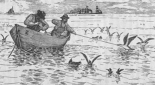 An Independent Agency