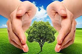 Decreto 2651 de 1991.