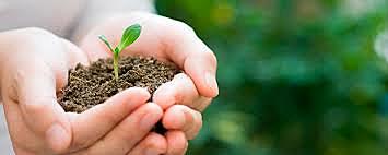 La Conferencia de las Naciones Unidas