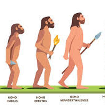 Timeline: El origen del lenguaje surge con el Homo Sapiens hace 200,000 años aprox.