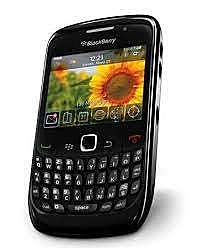Primer black berry