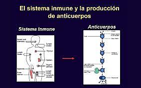 Programa Nacional de Inmunizaciones