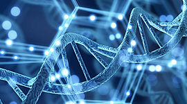 Timeline: Historia de la Genética