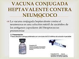 La vacuna conjugada heptavalente contra neumococo