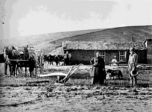 Homestead Act