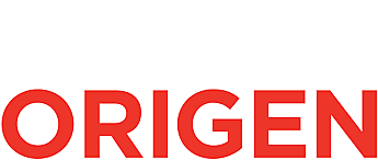 Origen de la gestión empresarial