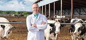 The Competitive Edge