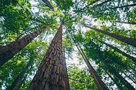 MIS 10 AÑOS DE VIDA