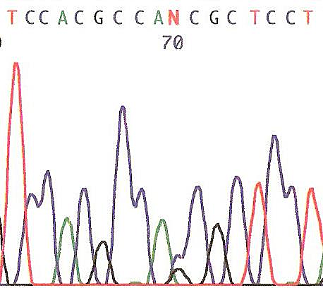 Se secuencia por primera vez el ADN