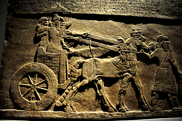 Desenvolupament de la roda