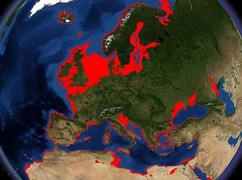 Het waterpeil is sinds de tijd dat de jagers/verzamelaars zich vestigden 50 meter gestegen