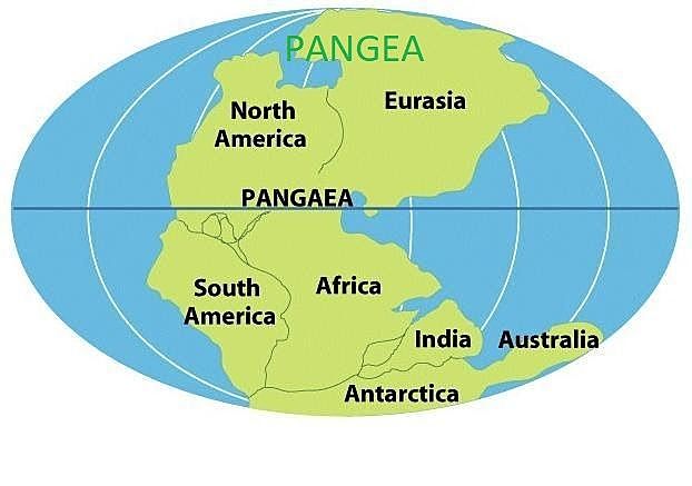200 Millones de años - Pangea